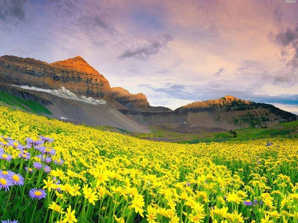 Exotic Uttarakhand Tour